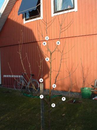 gallery_9650_83_272521.jpg