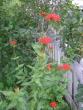 tn_gallery_5006_74_60798.jpg