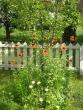 tn_gallery_5006_74_73859.jpg