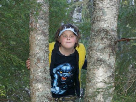 gallery_3363_88_26020.jpg