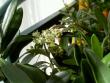 tn_gallery_3363_60_20385.jpg