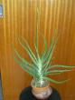 tn_gallery_3363_60_72867.jpg