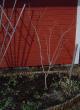 tn_gallery_3388_87_4831.jpg
