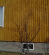 tn_gallery_3388_87_55727.jpg