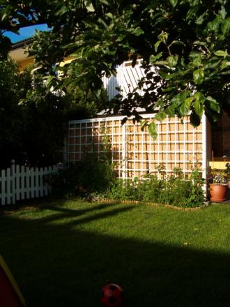 gallery_941_92_73845.jpg