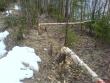tn_gallery_3363_96_345147.jpg