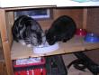 tn_gallery_3210_99_68722.jpg