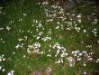 tn_gallery_4816_97_49194.jpg