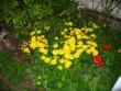 tn_gallery_4816_97_53225.jpg