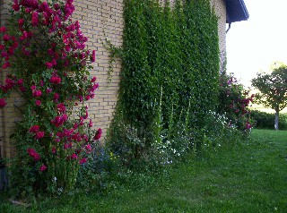 gallery_9477_108_21832.jpg
