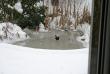 tn_gallery_5447_35_96414.jpg