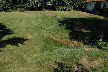 gallery_8437_116_25509.jpg