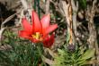 tn_gallery_5447_50_5654.jpg