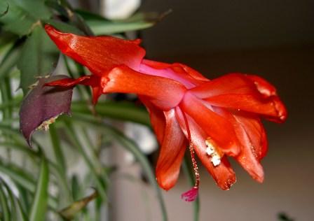 gallery_4761_9_8719.jpg