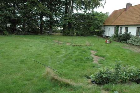 gallery_8437_116_24584.jpg