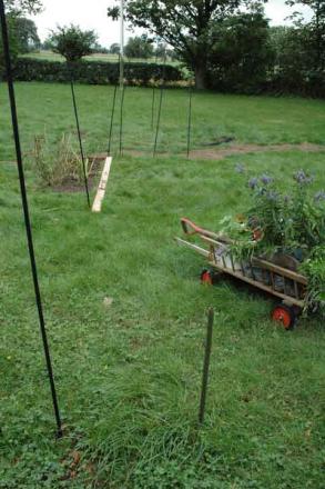 gallery_8437_116_28144.jpg