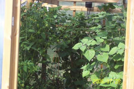gallery_9268_119_93505.jpg