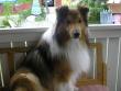tn_gallery_5006_120_2660.jpg