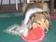 tn_gallery_5006_120_47129.jpg