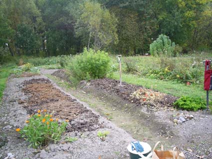 gallery_4761_121_28300.jpg
