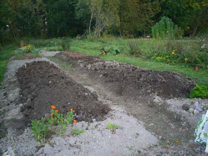 gallery_4761_121_49667.jpg