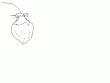 tn_gallery_4761_121_1728.gif