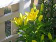 tn_gallery_7440_123_28369.jpg