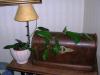 gallery_2004_131_1406.jpg