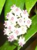 gallery_2004_131_194.jpg