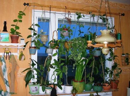 gallery_2004_131_39296.jpg