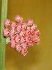 gallery_2004_131_594.jpg