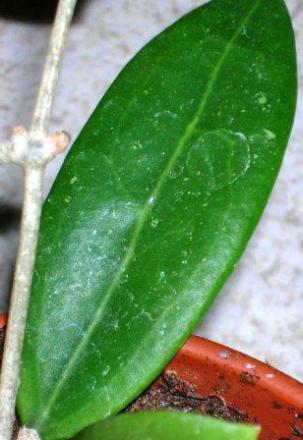 gallery_2004_131_25079.jpg