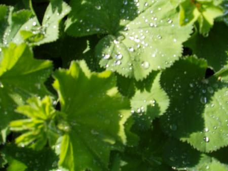 gallery_2004_133_27059.jpg
