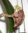 tn_gallery_2004_131_12735.jpg