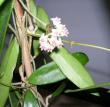 tn_gallery_2004_131_15389.jpg