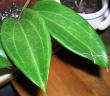 tn_gallery_2004_131_16293.jpg