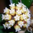 tn_gallery_2004_131_19022.jpg