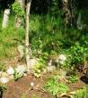 tn_gallery_2004_133_25079.jpg