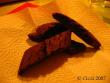 tn_gallery_4113_128_7977.jpg