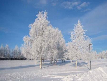 gallery_14_145_18705.jpg