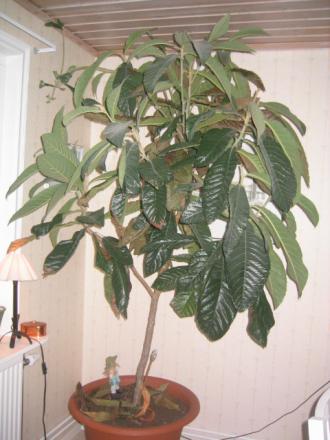 gallery_2315_138_131839.jpg