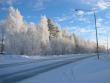 tn_gallery_14_145_11895.jpg