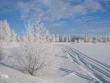 tn_gallery_14_145_32787.jpg