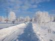 tn_gallery_14_145_6605.jpg