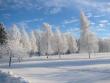 tn_gallery_14_145_6983.jpg