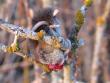 tn_gallery_18_140_26663.jpg