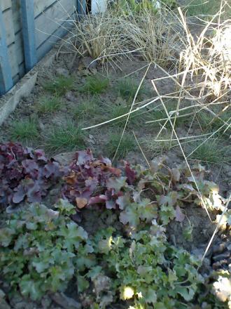 gallery_2739_158_53966.jpg