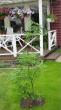 tn_gallery_14_147_20742.jpg