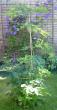 tn_gallery_14_147_34577.jpg