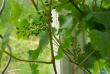 tn_gallery_5458_153_18541.jpg